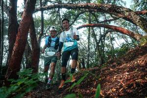 BIB: 
                            <button type="button" onclick="openModal(26344229)" class="btn btn-primary btn-sm float-right btn-popup" data-toggle="modal" data-target=".modal-high-quality">
                        <i class="fas fa-shopping-cart"></i> Add to Cart
                    </button>
                                            <button type="button" onclick="isThisMe(26344229, true)" class="btn btn-success btn-sm float-right btn-popup btn-isme hidden" data-toggle="tooltip" data-placement="bottom" title="นี่คือรูปของคุณใช่ไหม คลิกที่นี่เพื่อเอาเข้าอัลบั้ม">
                        <i class="fas fa-plus"></i> Add to album
                    </button>
                    <button type="button" onclick="isThisMe(26344229, false)" class="btn btn-warning btn-sm float-right btn-popup btn-isnotme hidden">
                        <i class="fas fa-ban"></i> Remove from album
                    </button>